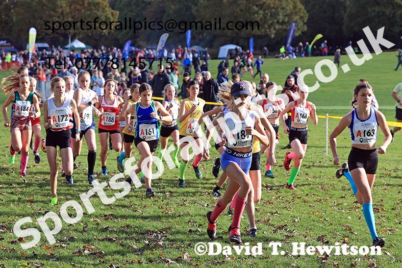 Girls under-13s, 2024 Northern Cross Country Relays, Graves Park, Sheffield.   Photo: David T. Hewitson/Sports for All Pics